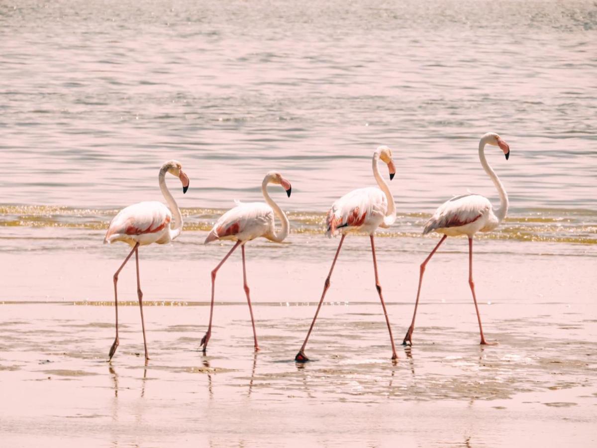 Lagoon View Self Catering Walvis Bay Eksteriør bilde