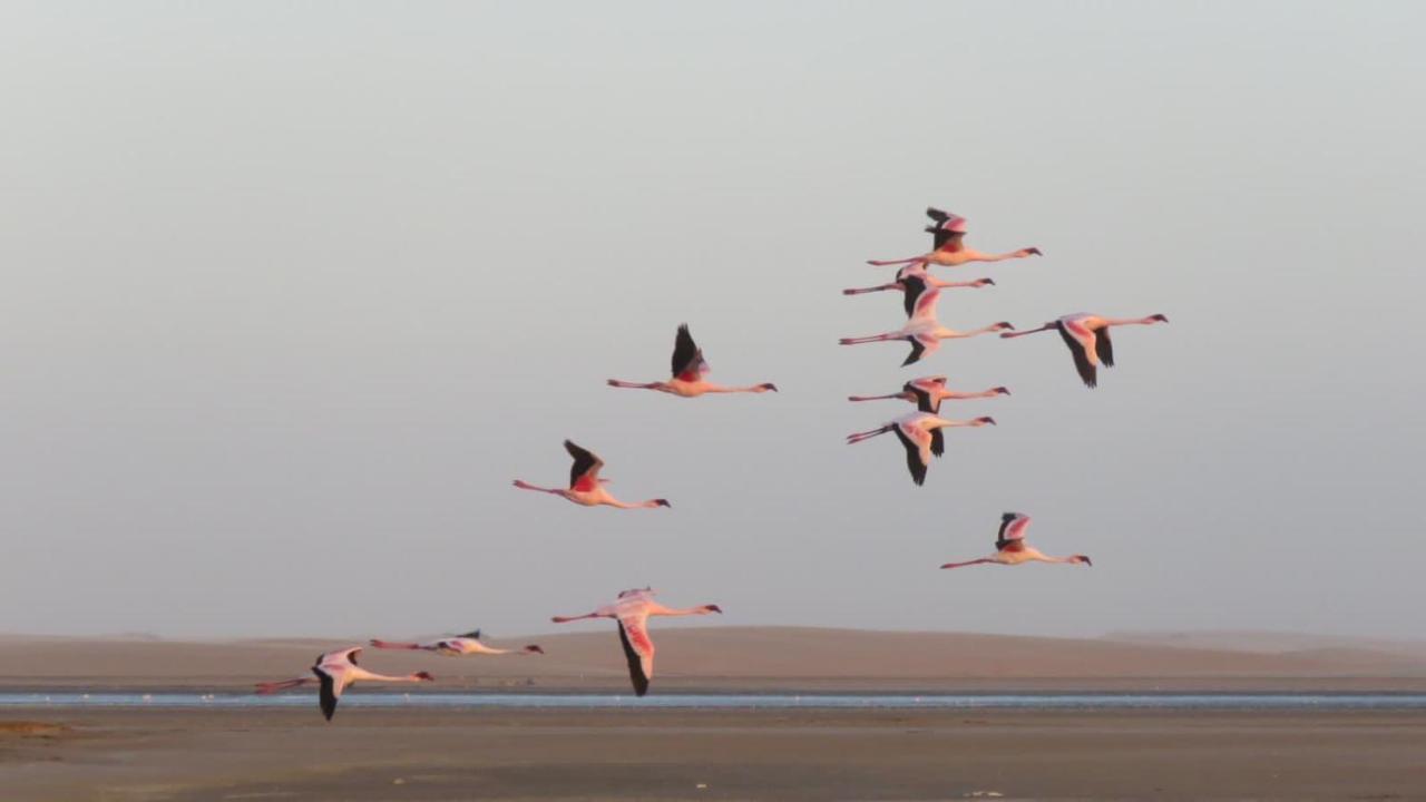 Lagoon View Self Catering Walvis Bay Eksteriør bilde