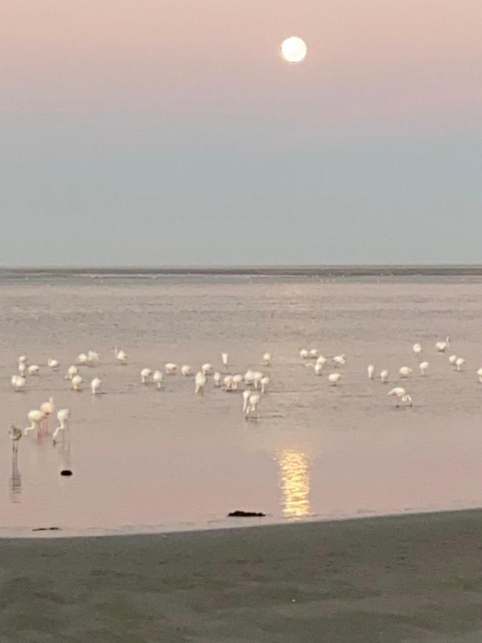 Lagoon View Self Catering Walvis Bay Eksteriør bilde