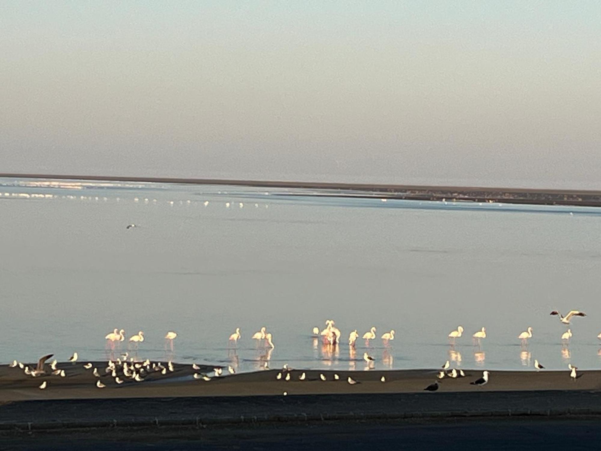 Lagoon View Self Catering Walvis Bay Eksteriør bilde